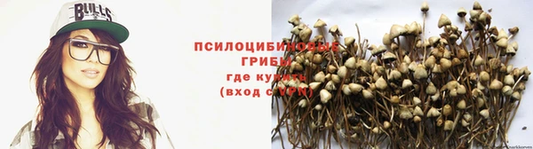 прущие крисы Белокуриха