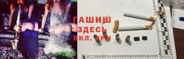 ПСИЛОЦИБИНОВЫЕ ГРИБЫ Щигры