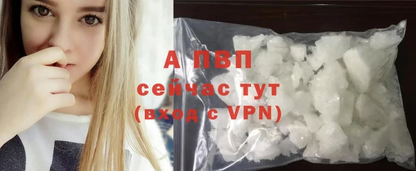 гашик Белоозёрский