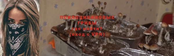 гашик Белоозёрский