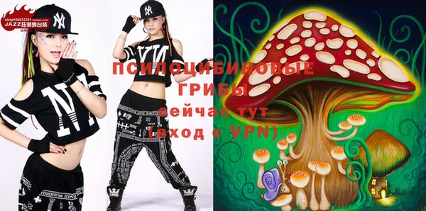 ПСИЛОЦИБИНОВЫЕ ГРИБЫ Щигры