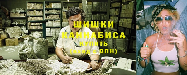 прущие крисы Белокуриха