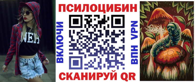 где можно купить   Кимовск  Псилоцибиновые грибы мицелий 