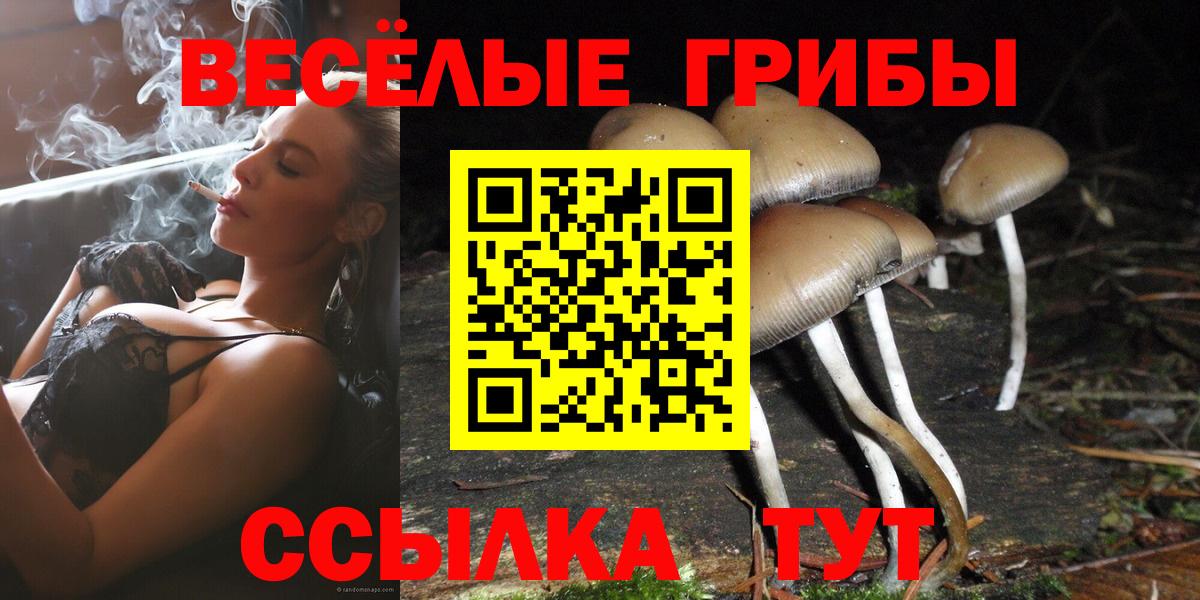Псилоцибиновые грибы Psilocybine cubensis  Вход с VPN  Кимовск 