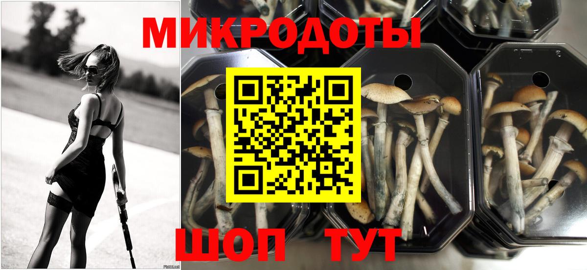 Псилоцибиновые грибы ЛСД Кимовск