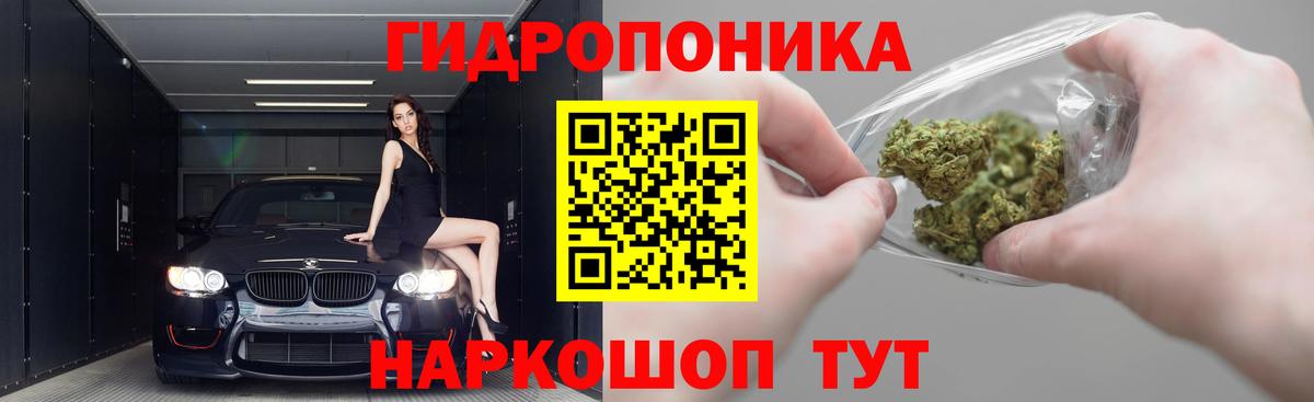 Бошки Шишки THC 21% Кимовск